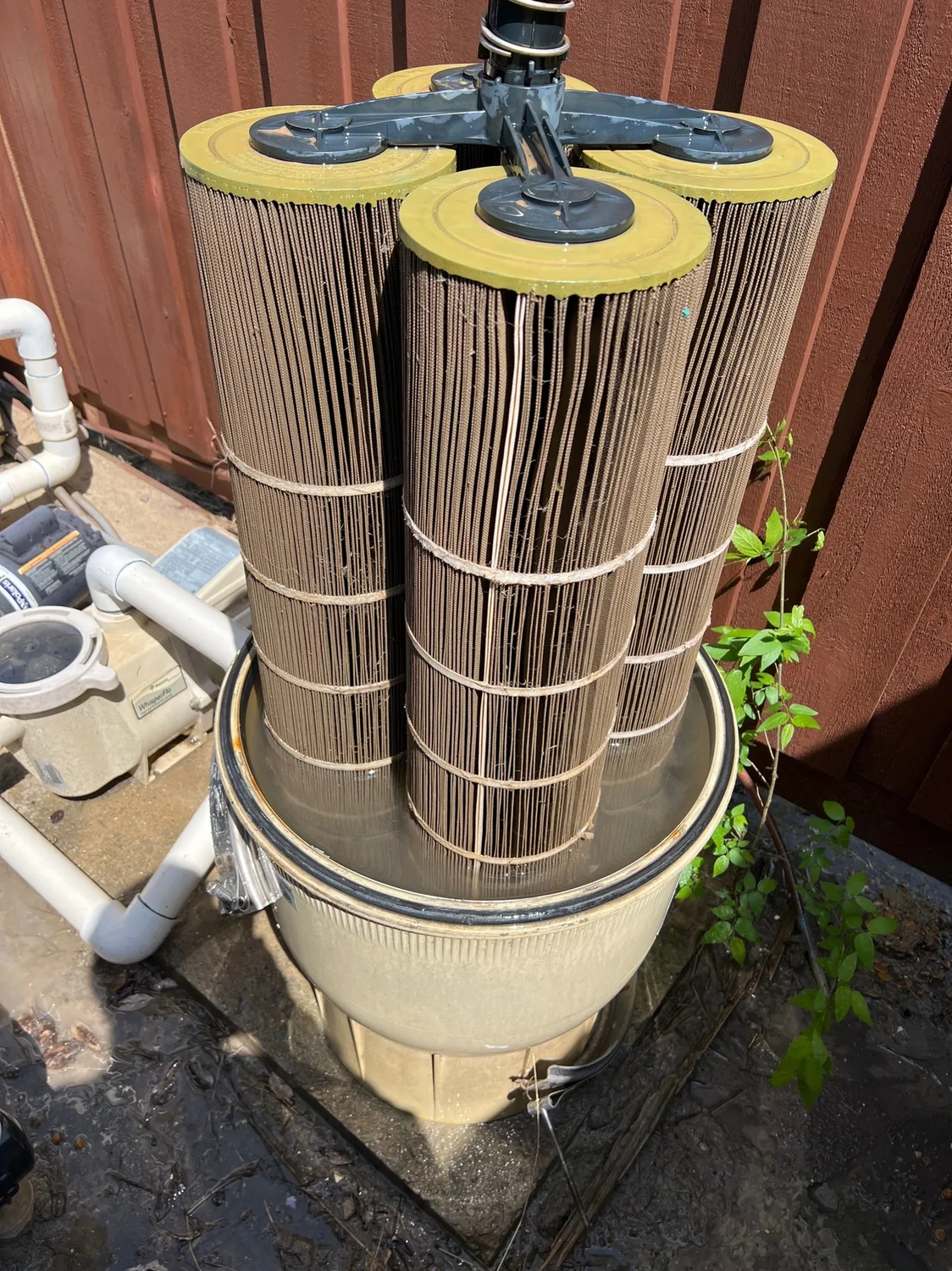 Pool filter maintenance